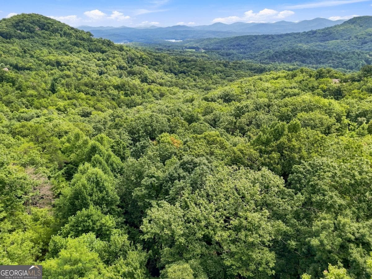 residential lot for sale at LT 27 Deer Crest Road 27, Blue Ridge, GA 30513 — photo 4