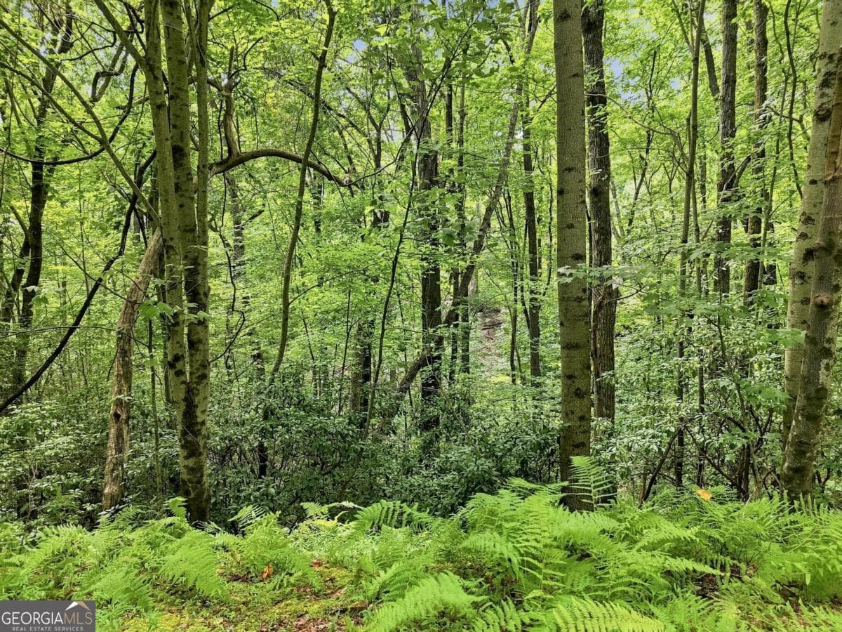 residential lot for sale at LT 27 Deer Crest Road 27, Blue Ridge, GA 30513 — photo 8