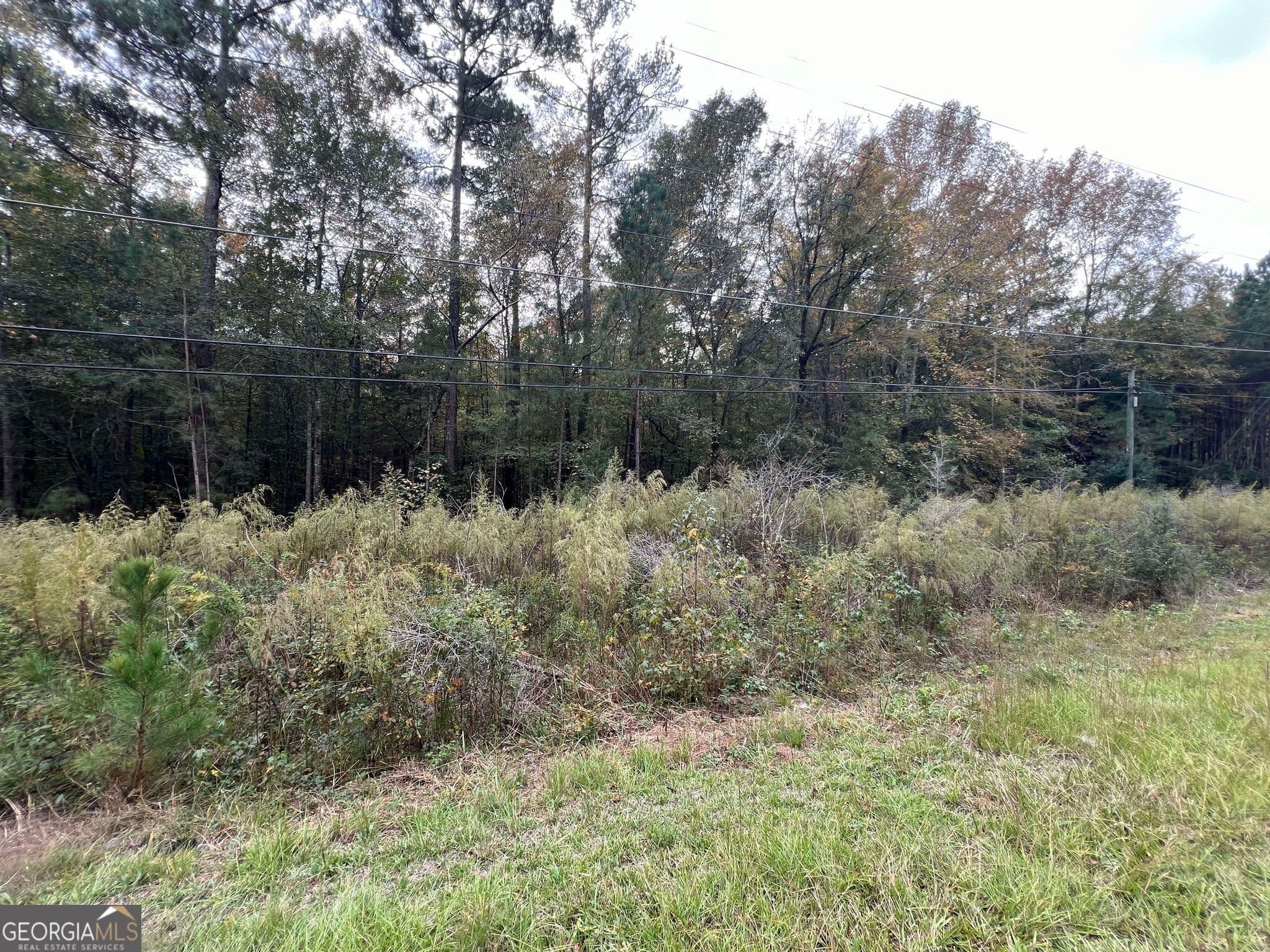 unimproved land for sale at 0 Owens Drive, Conyers, GA 30094 — photo 1 of 3