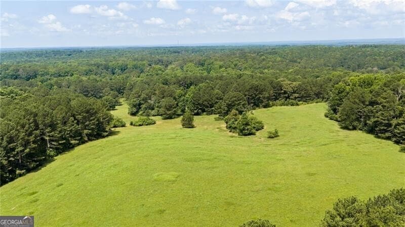 6 bedroom, 5 bathroom single family residence for sale at 0 Capps Ferry Road, Chattahoochee Hills, GA 30268 — photo 7
