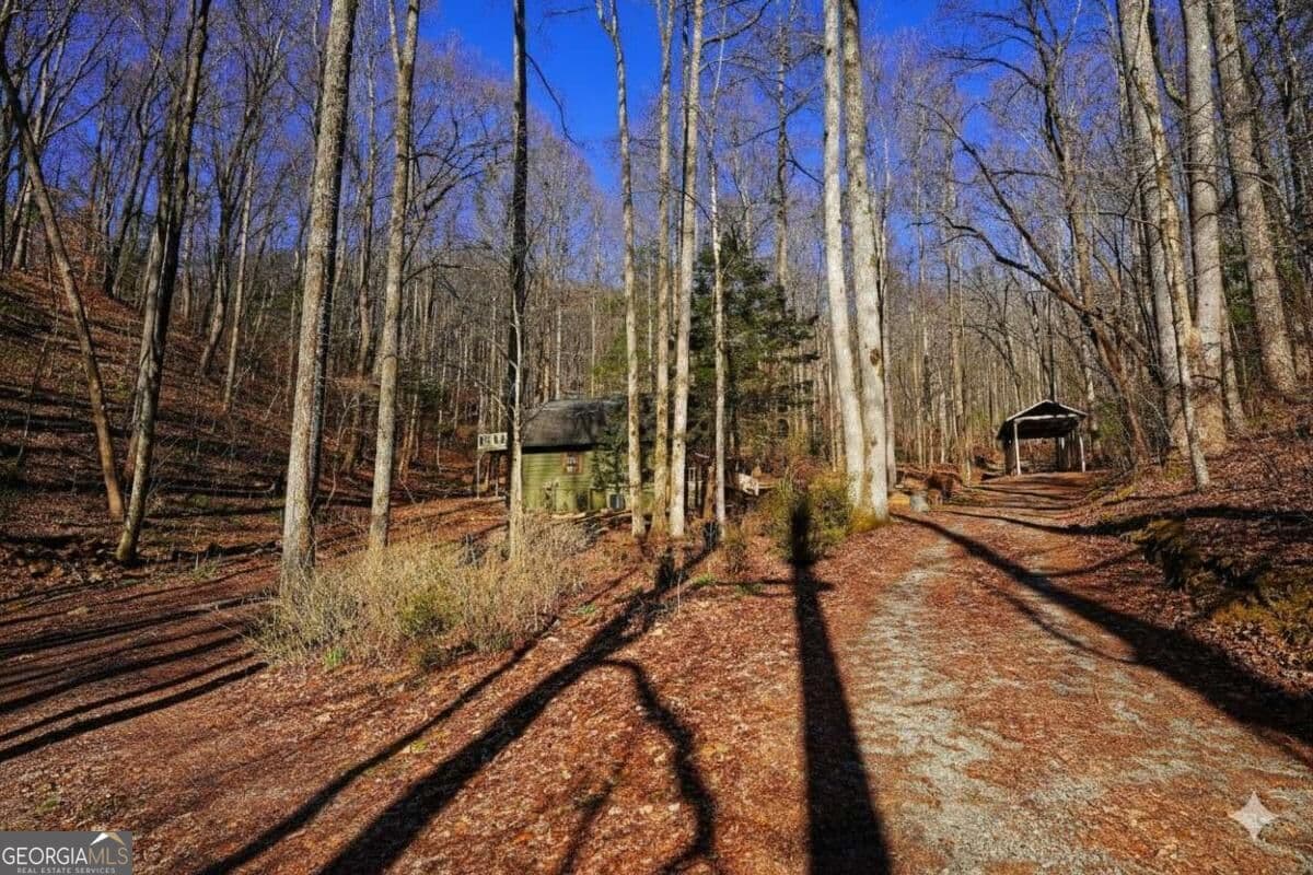 4 bedroom, 2 bathroom, 1,512 sq ft cabin,single family residence for sale at 172 Sweetwater Road, Blue Ridge, GA 30513 — photo 6