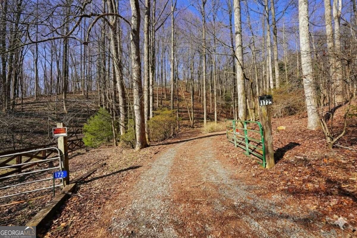 4 bedroom, 2 bathroom, 1,512 sq ft cabin,single family residence for sale at 172 Sweetwater Road, Blue Ridge, GA 30513 — photo 10