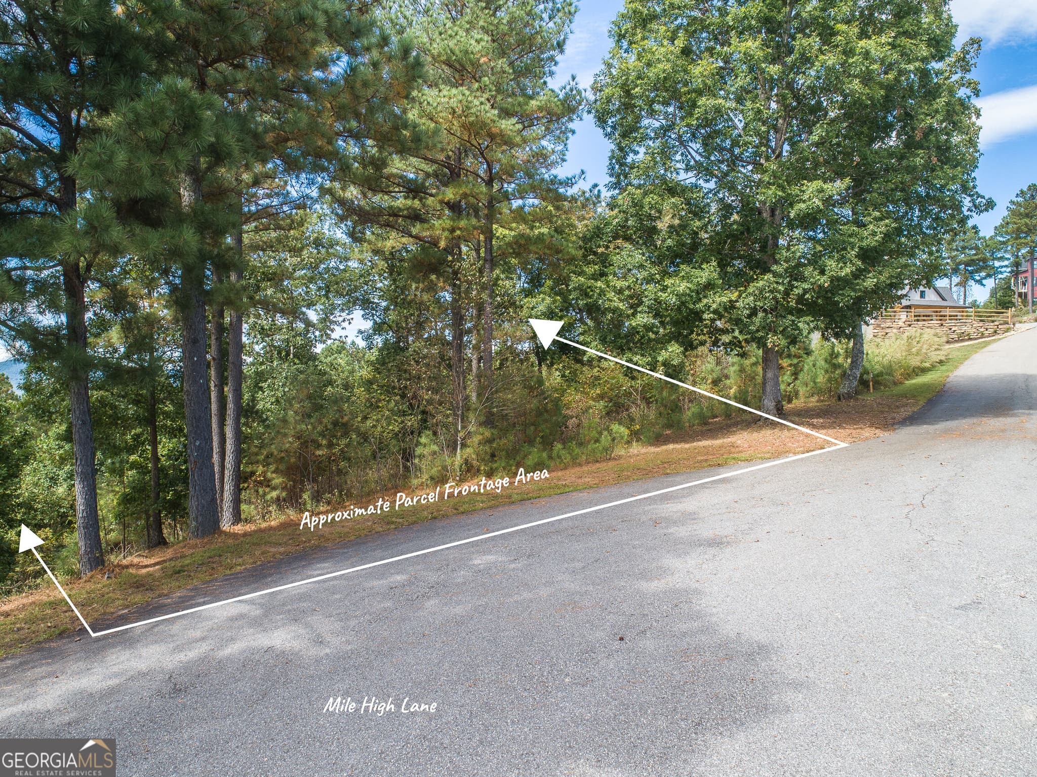 unimproved land for sale at LOT 14 Mile High Lane, Blairsville, GA 30512 — photo 2