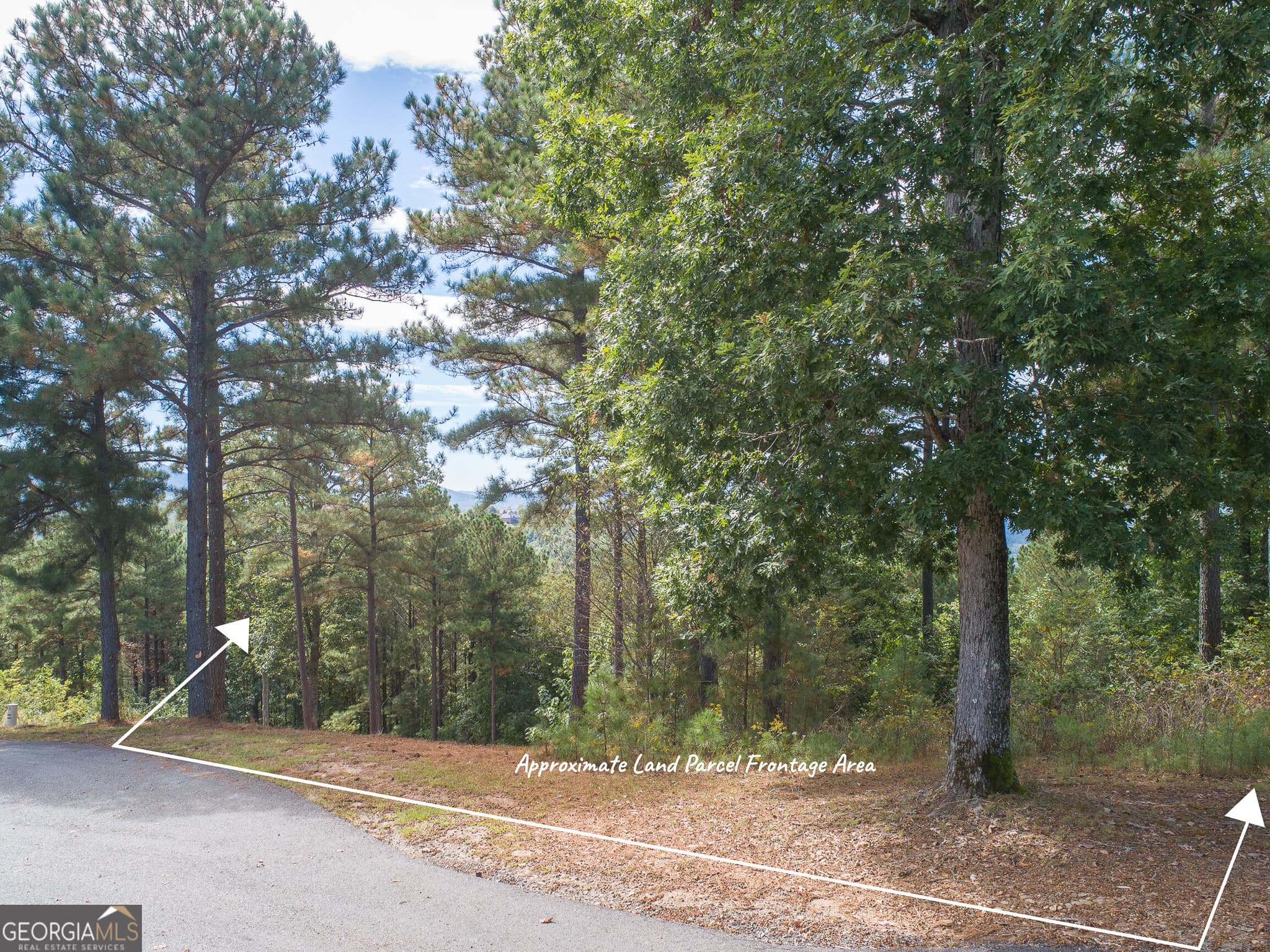 unimproved land for sale at LOT 14 Mile High Lane, Blairsville, GA 30512 — photo 6