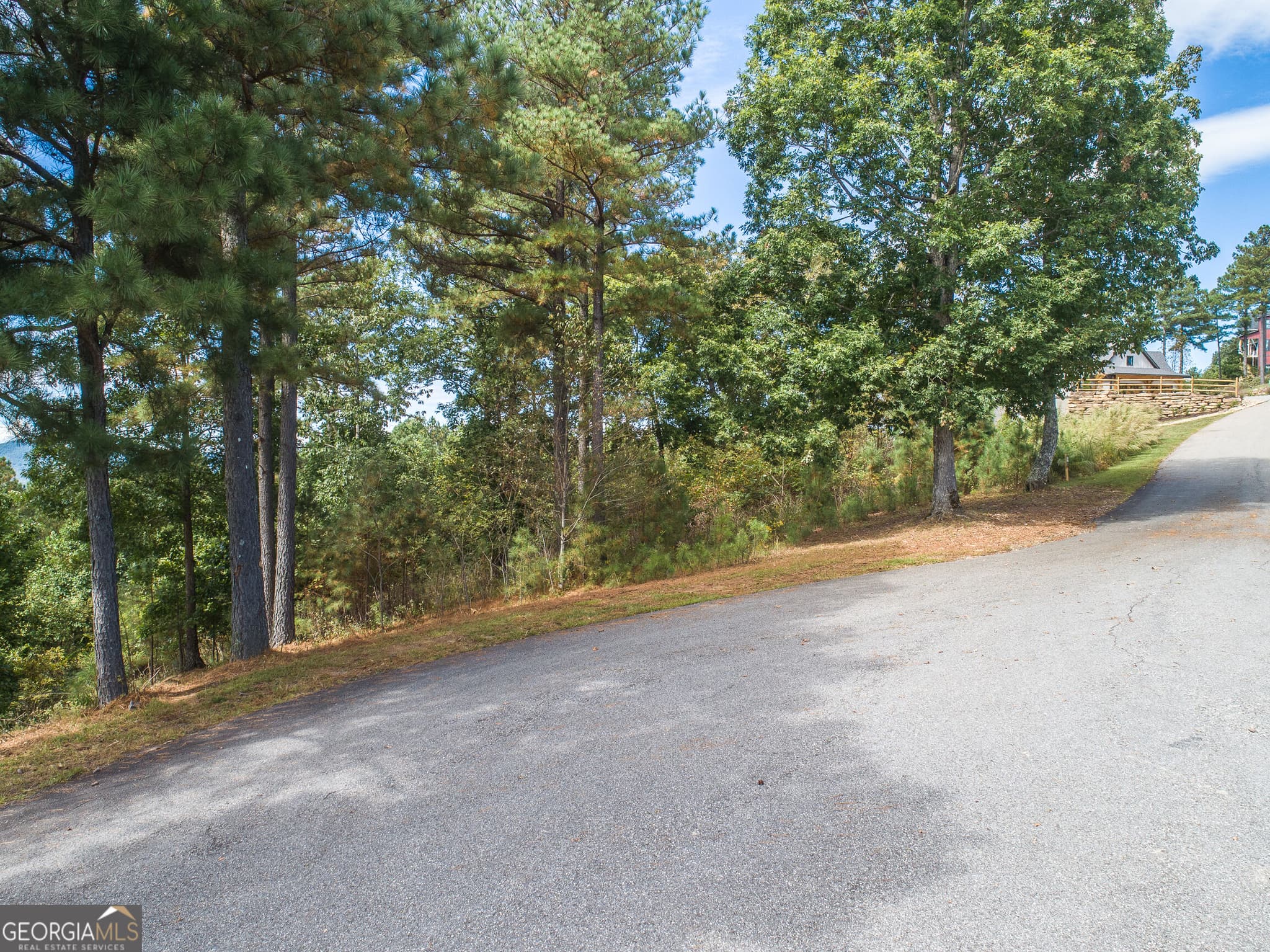 unimproved land for sale at LOT 14 Mile High Lane, Blairsville, GA 30512 — photo 1 of 35