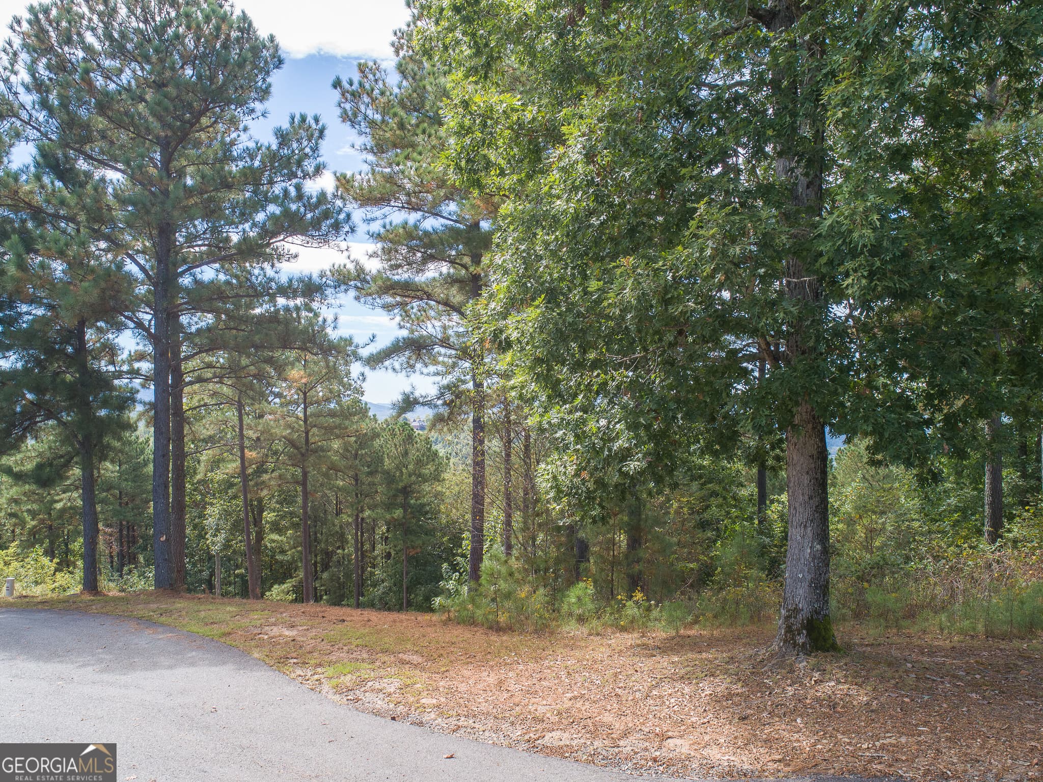 unimproved land for sale at LOT 14 Mile High Lane, Blairsville, GA 30512 — photo 5