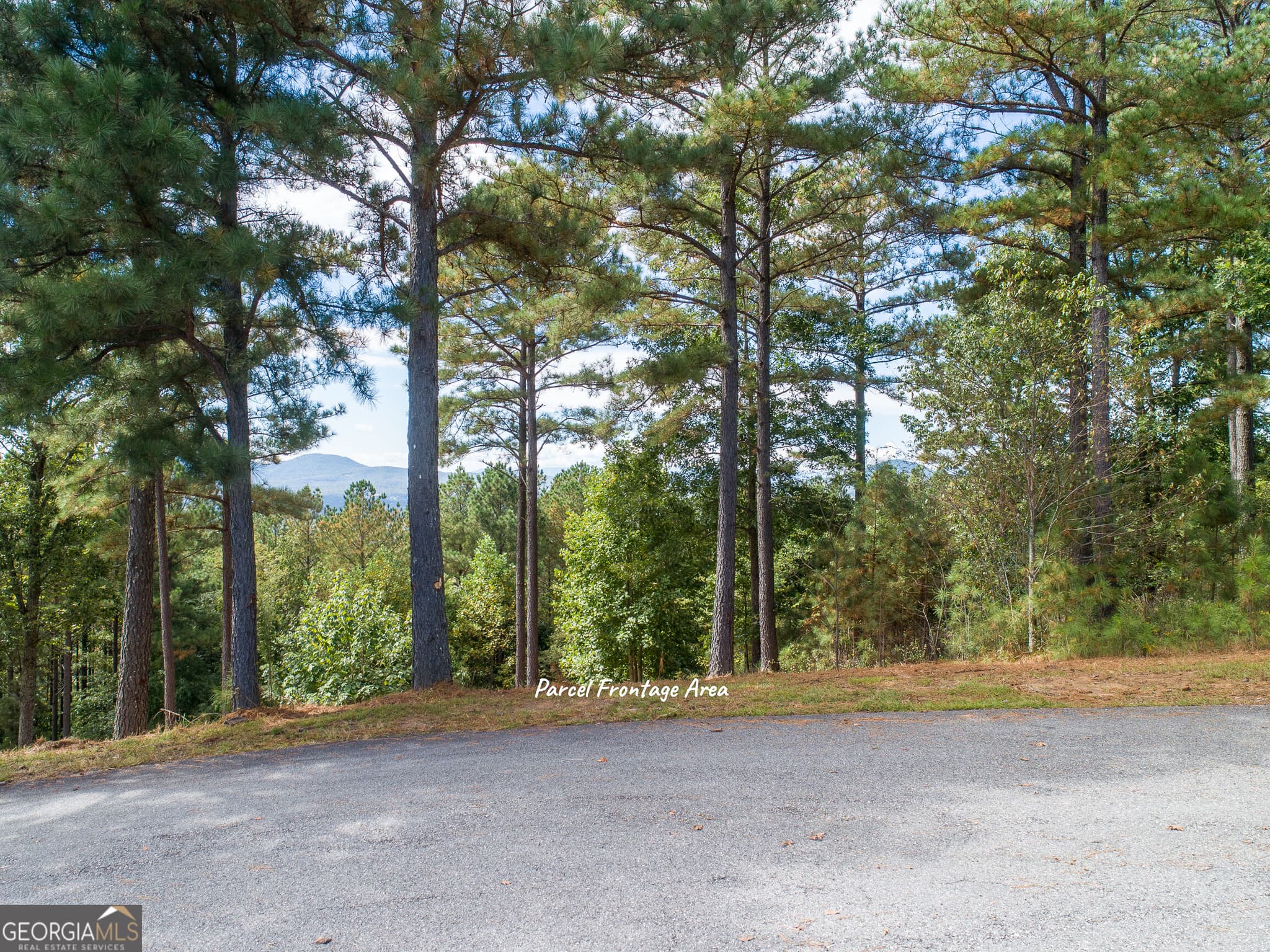 unimproved land for sale at LOT 14 Mile High Lane, Blairsville, GA 30512 — photo 4