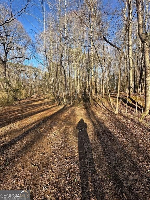 unimproved land for sale at 0 Collier Street, Covington, GA 30014 — photo 6
