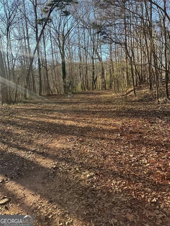 unimproved land for sale at 0 Collier Street, Covington, GA 30014 — photo 3