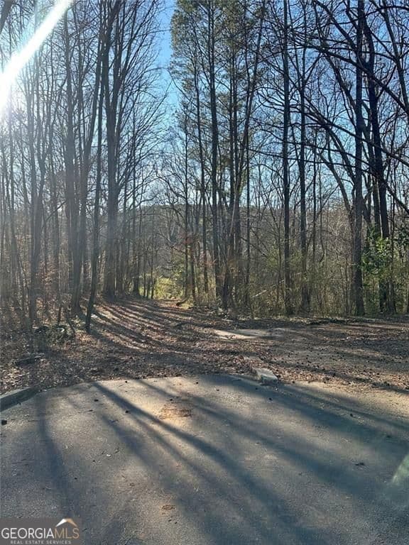 unimproved land for sale at 0 Collier Street, Covington, GA 30014 — photo 1 of 12