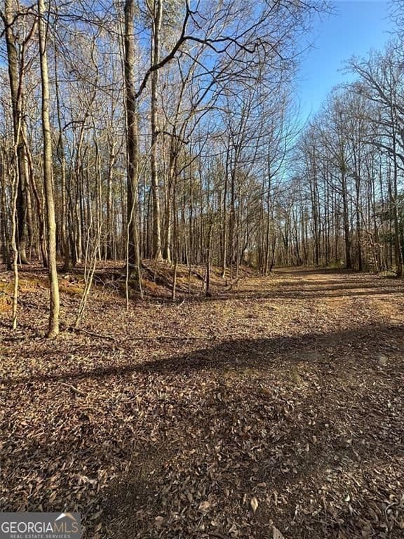 unimproved land for sale at 0 Collier Street, Covington, GA 30014 — photo 5