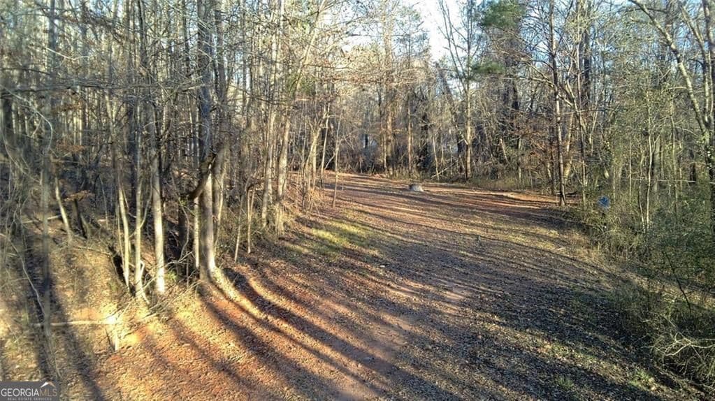 unimproved land for sale at 0 Collier Street, Covington, GA 30014 — photo 9