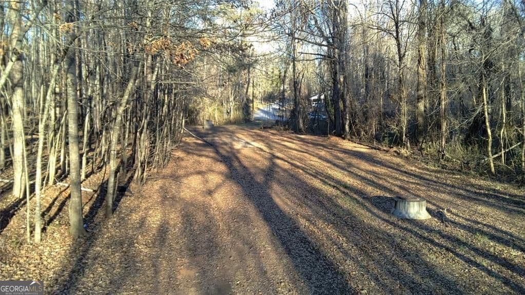 unimproved land for sale at 0 Collier Street, Covington, GA 30014 — photo 10