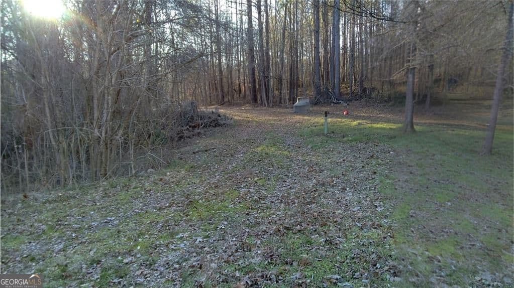 unimproved land for sale at 0 Collier Street, Covington, GA 30014 — photo 4