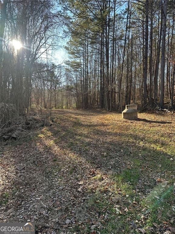 unimproved land for sale at 0 Collier Street, Covington, GA 30014 — photo 8