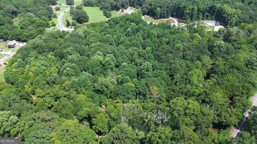 estate lot for sale at 10 Faith Lane, Cartersville, GA 30120 — photo 3