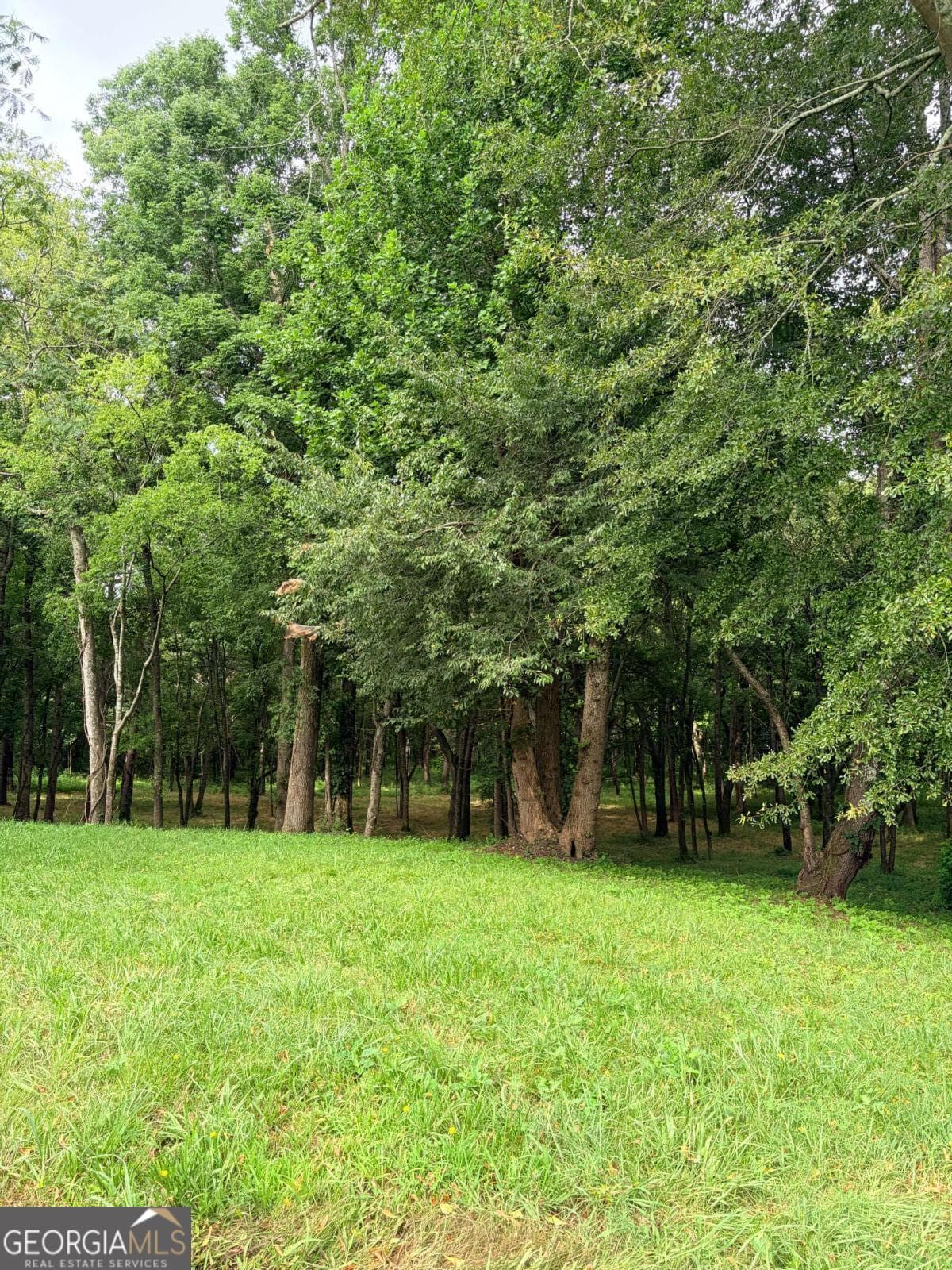 estate lot for sale at 10 Faith Lane, Cartersville, GA 30120 — photo 10