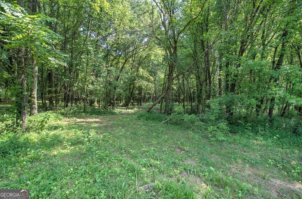 estate lot for sale at 10 Faith Lane, Cartersville, GA 30120 — photo 4