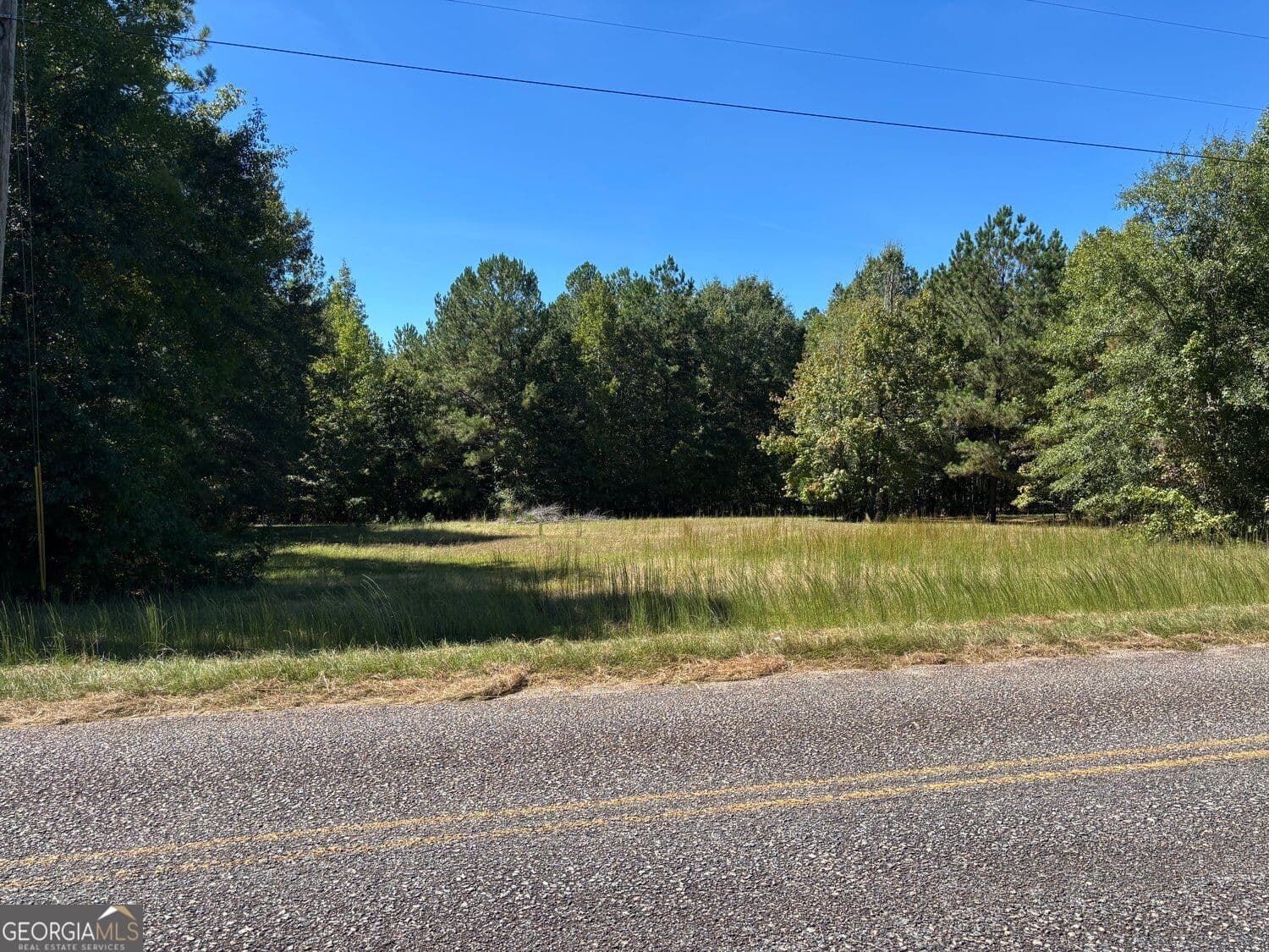 unimproved land for sale at 224 Cox Woodland Road, Milledgeville, GA 31061 — photo 2