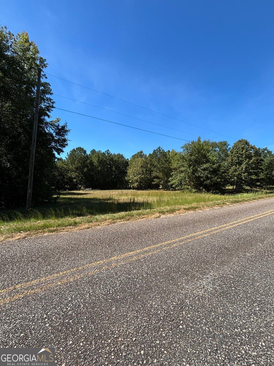 unimproved land for sale at 224 Cox Woodland Road, Milledgeville, GA 31061 — photo 6