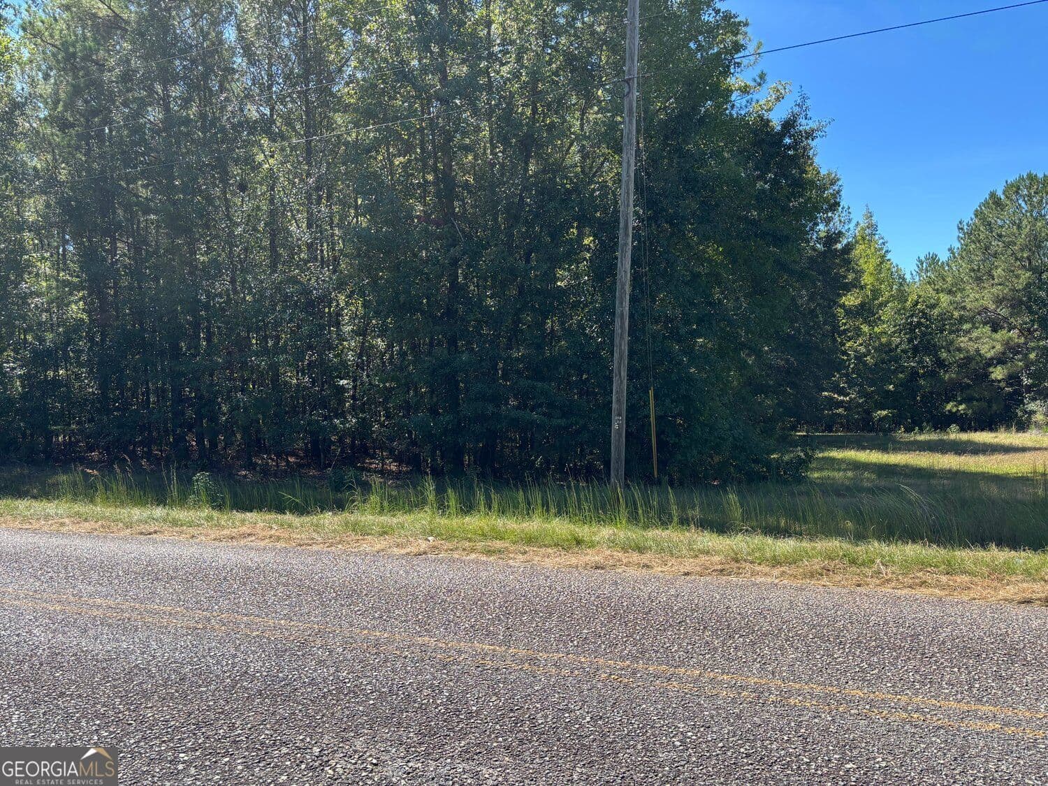 unimproved land for sale at 224 Cox Woodland Road, Milledgeville, GA 31061 — photo 3