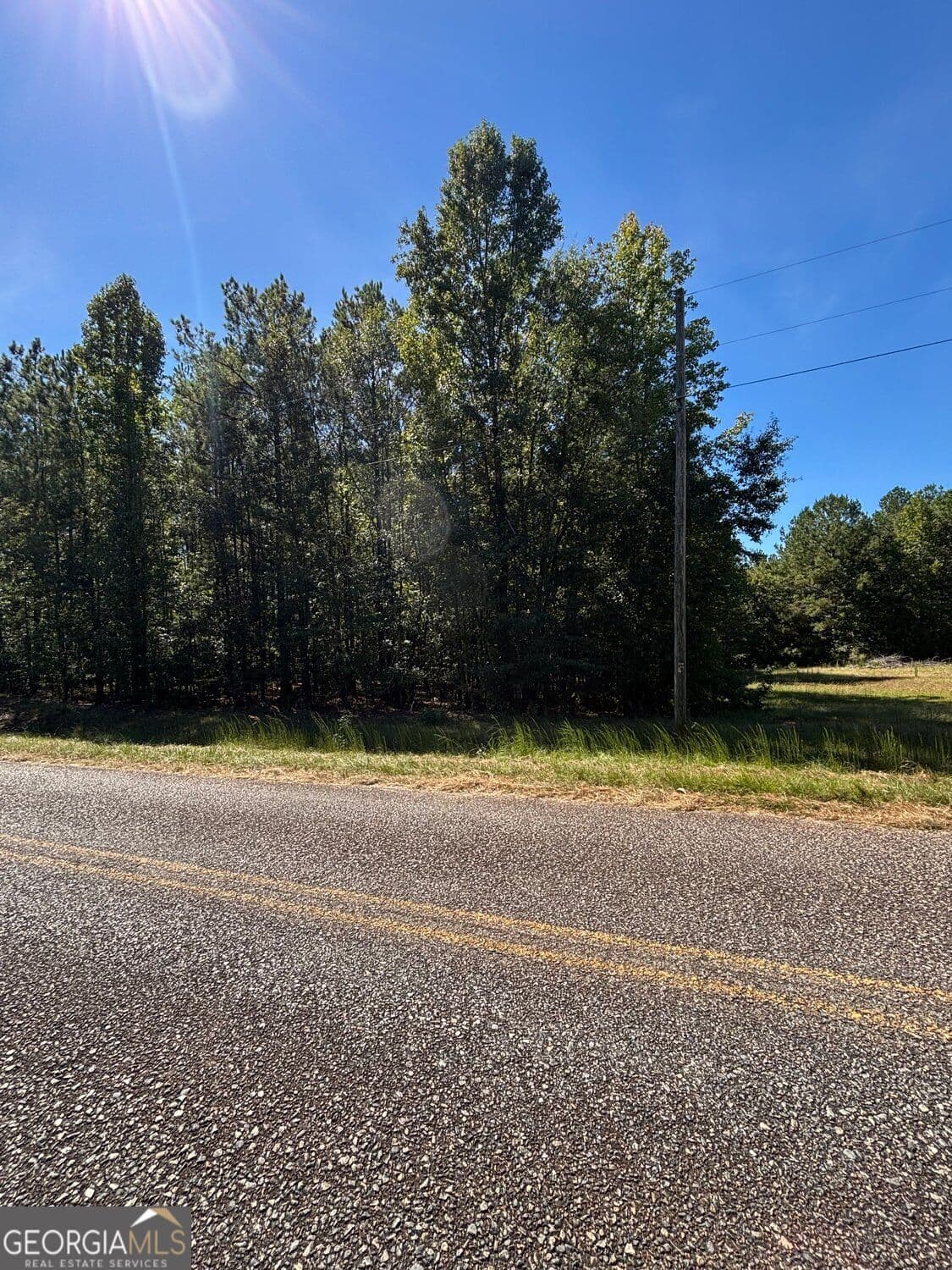 unimproved land for sale at 224 Cox Woodland Road, Milledgeville, GA 31061 — photo 5