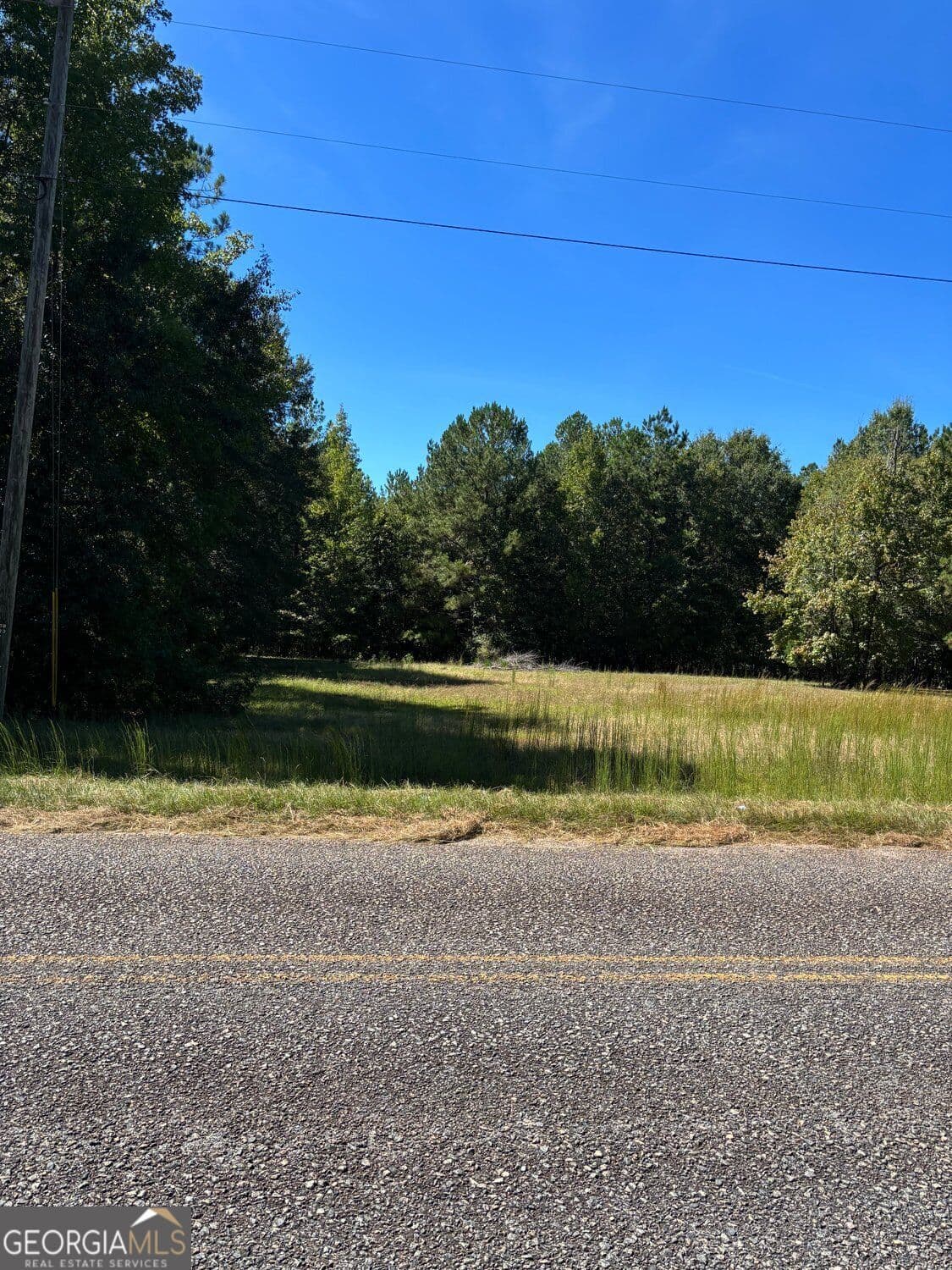 unimproved land for sale at 224 Cox Woodland Road, Milledgeville, GA 31061 — photo 4