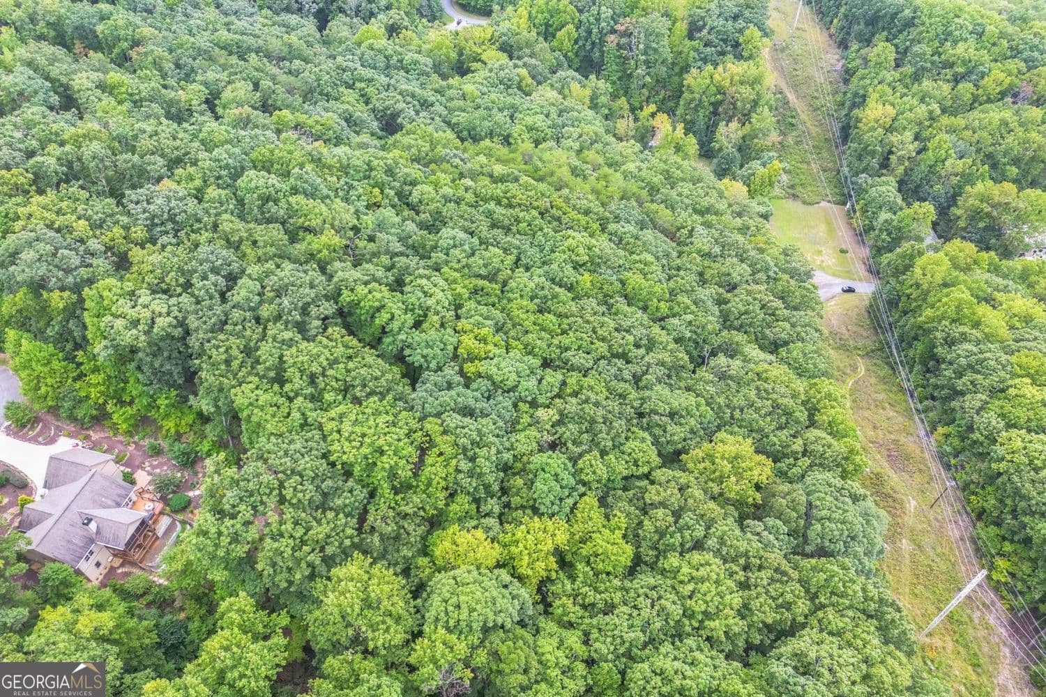 unimproved land for sale at 349 Turner Ridge Drive, Cleveland, GA 30528 — photo 2