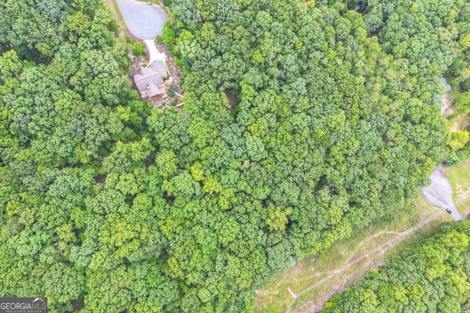 unimproved land for sale at 349 Turner Ridge Drive, Cleveland, GA 30528 — photo 6