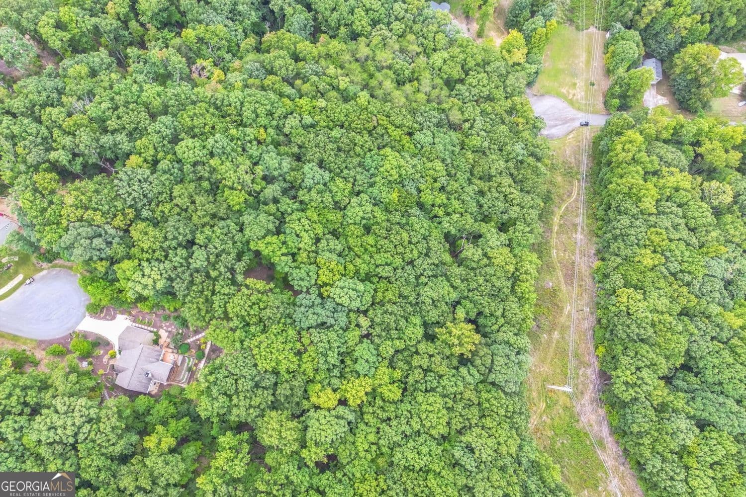 unimproved land for sale at 349 Turner Ridge Drive, Cleveland, GA 30528 — photo 7