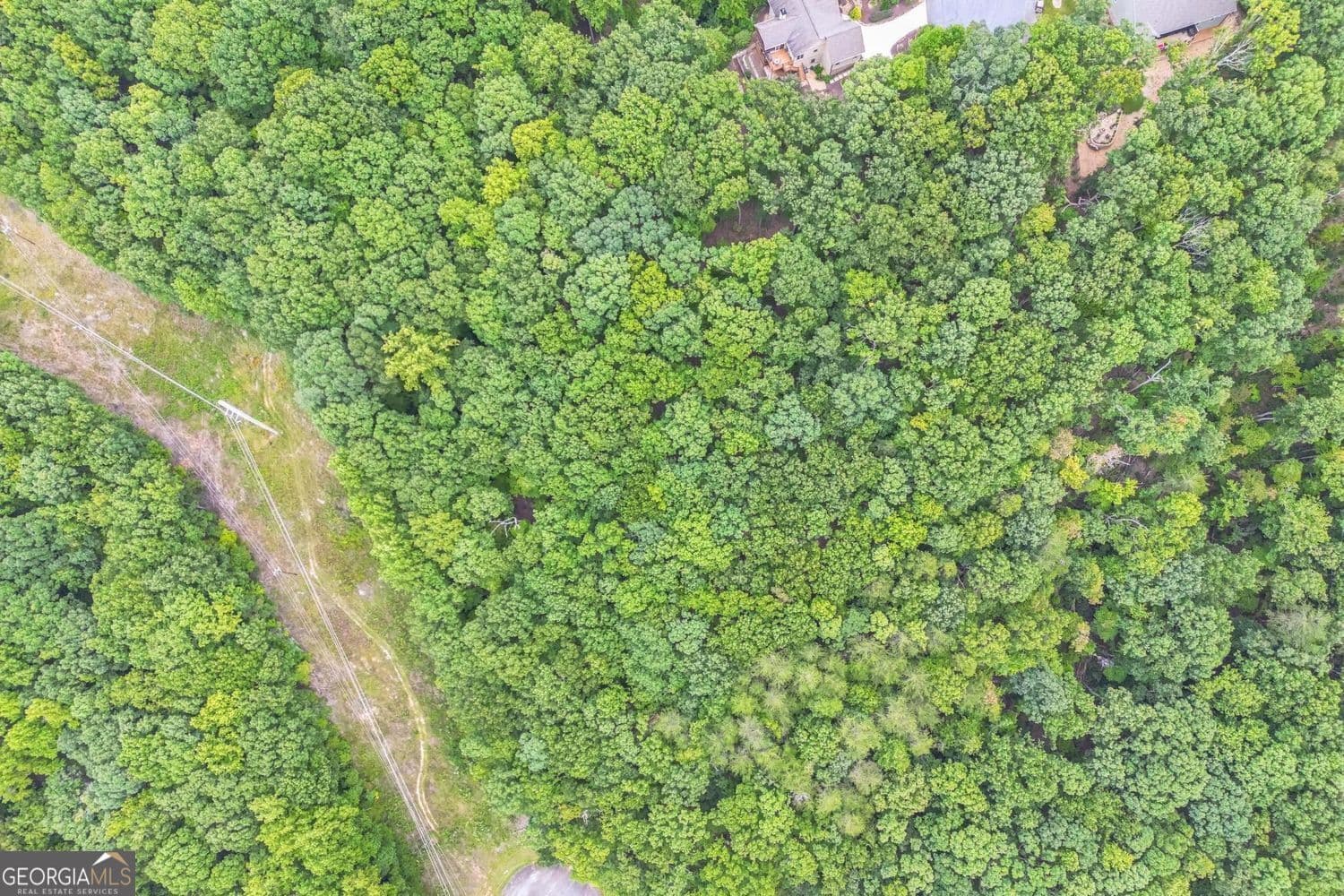 unimproved land for sale at 349 Turner Ridge Drive, Cleveland, GA 30528 — photo 3