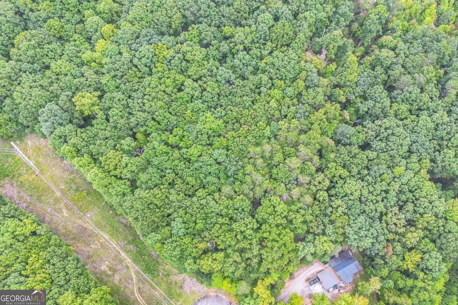 unimproved land for sale at 349 Turner Ridge Drive, Cleveland, GA 30528 — photo 1 of 17