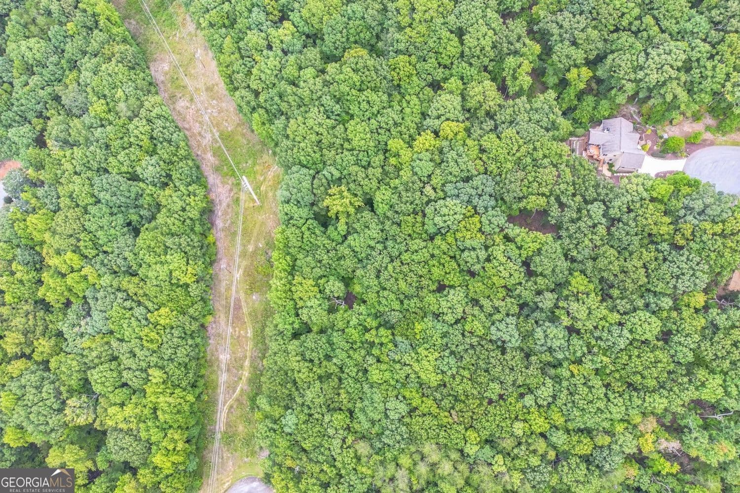 unimproved land for sale at 349 Turner Ridge Drive, Cleveland, GA 30528 — photo 5