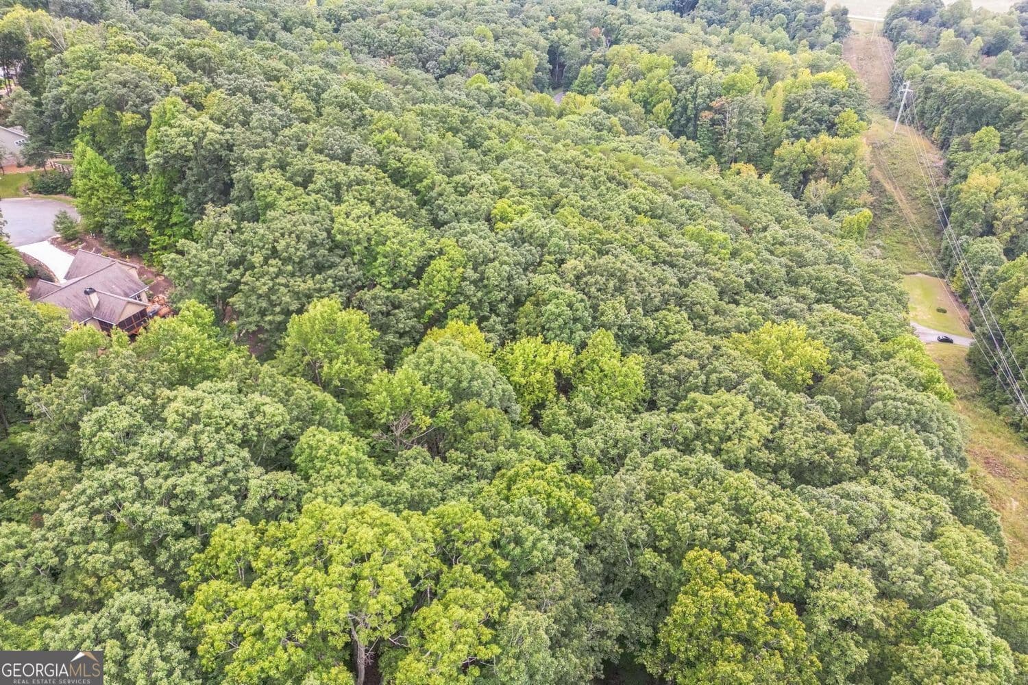 unimproved land for sale at 349 Turner Ridge Drive, Cleveland, GA 30528 — photo 10