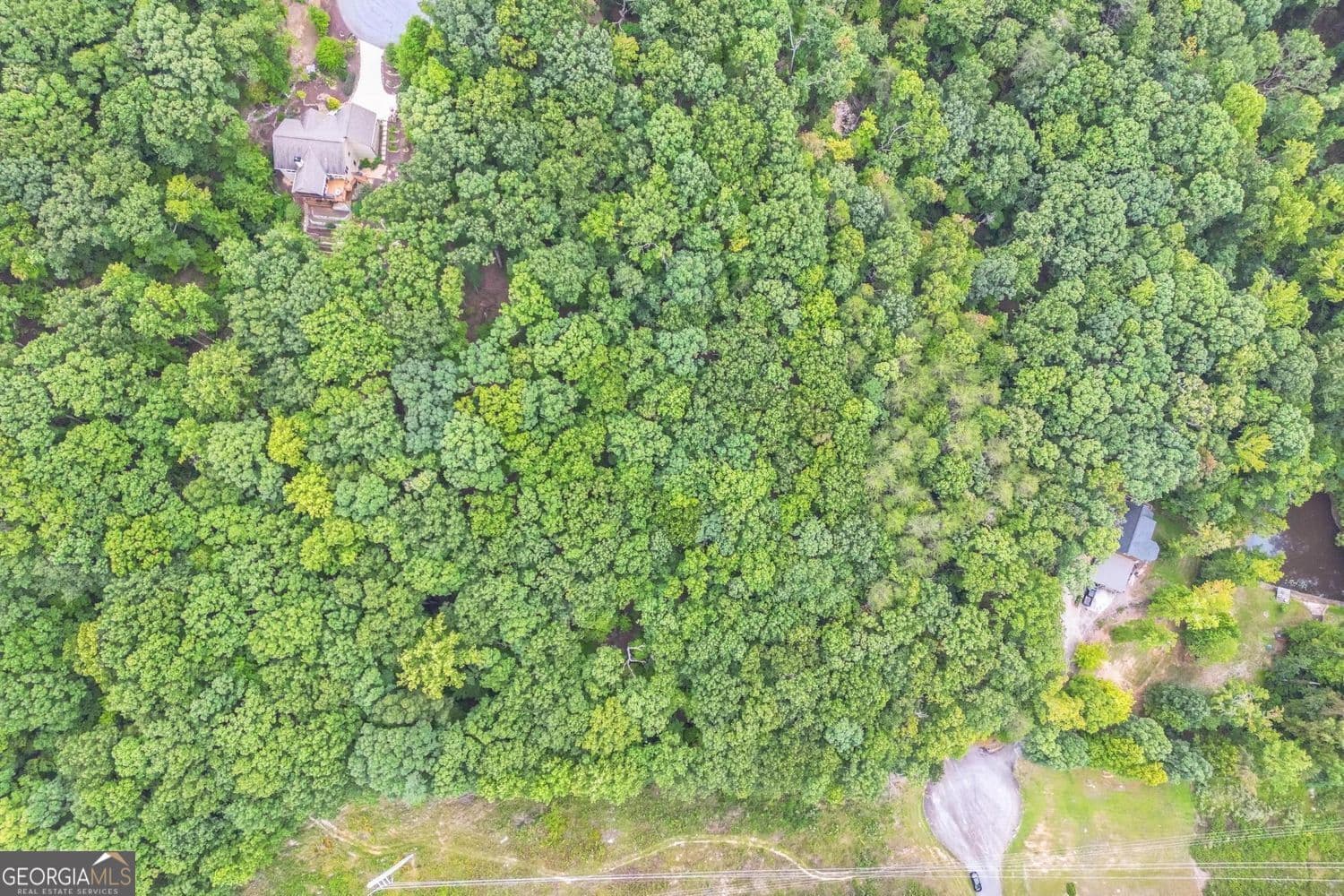 unimproved land for sale at 349 Turner Ridge Drive, Cleveland, GA 30528 — photo 4