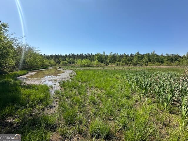 agriculture for sale at 0 Sardis Church Road, Kite, GA 31049 — photo 2