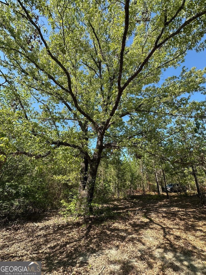 agriculture for sale at 0 Sardis Church Road, Kite, GA 31049 — photo 6