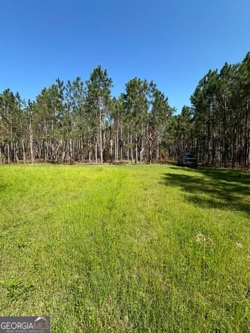 agriculture for sale at 0 Sardis Church Road, Kite, GA 31049 — photo 7