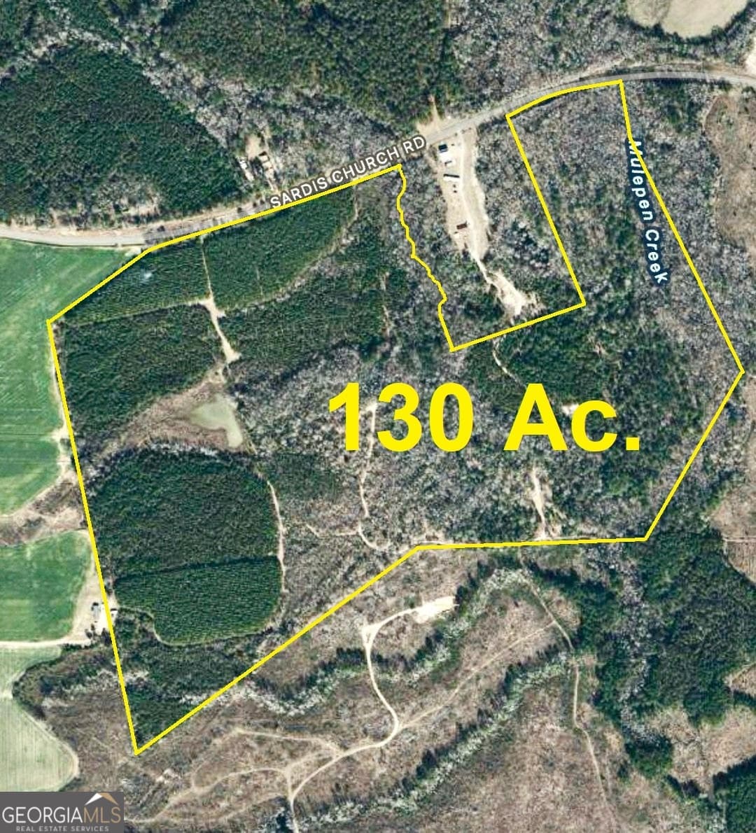 agriculture for sale at 0 Sardis Church Road, Kite, GA 31049