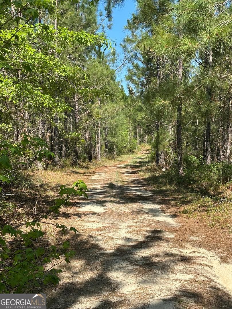 agriculture for sale at 0 Sardis Church Road, Kite, GA 31049 — photo 5