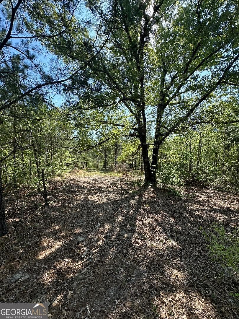 agriculture for sale at 0 Sardis Church Road, Kite, GA 31049 — photo 9