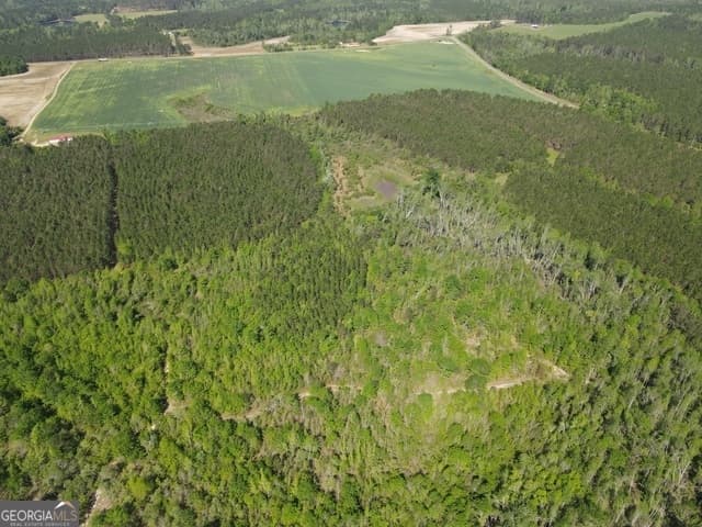 agriculture for sale at 0 Sardis Church Road, Kite, GA 31049 — photo 4