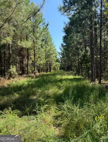 agriculture for sale at 0 Sardis Church Road, Kite, GA 31049 — photo 8