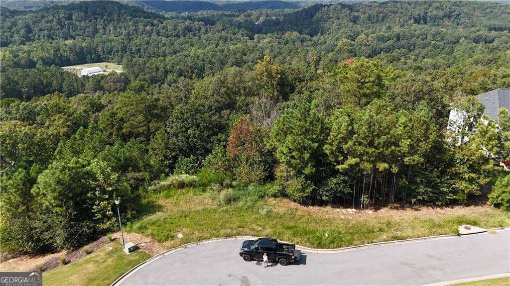 residential lot for sale at 764 Flower Farm Drive, Acworth, GA 30101 — photo 6