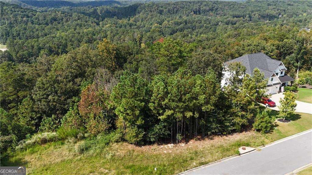 residential lot for sale at 764 Flower Farm Drive, Acworth, GA 30101 — photo 7