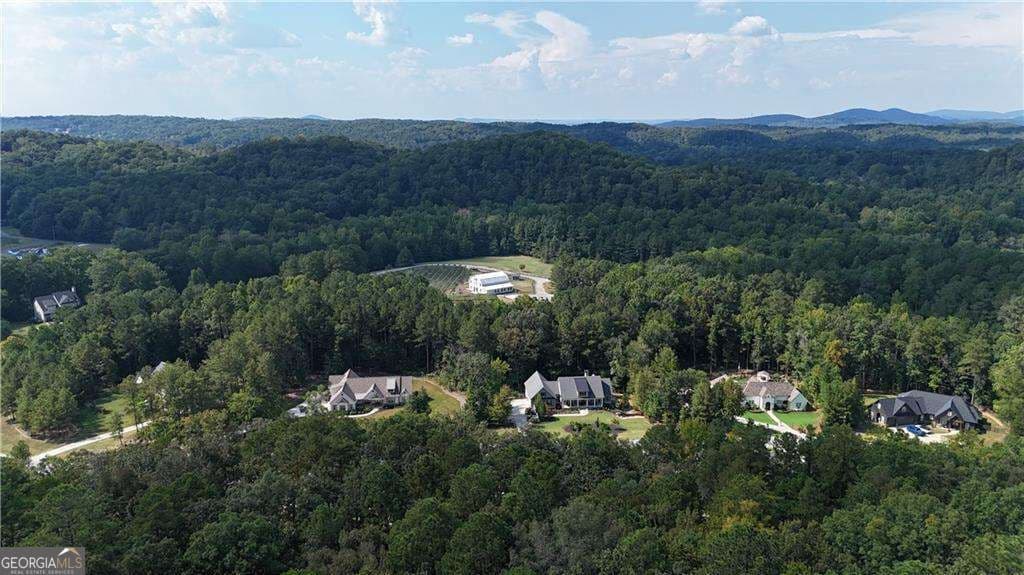 residential lot for sale at 764 Flower Farm Drive, Acworth, GA 30101 — photo 5