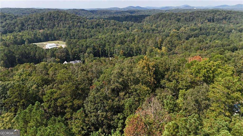 residential lot for sale at 764 Flower Farm Drive, Acworth, GA 30101 — photo 9
