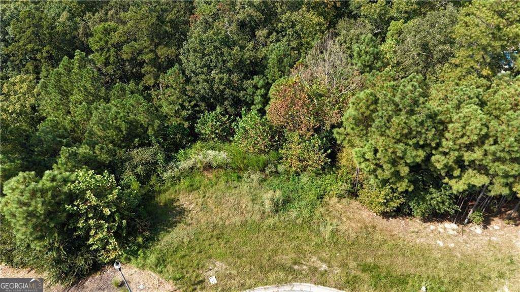 residential lot for sale at 764 Flower Farm Drive, Acworth, GA 30101 — photo 10