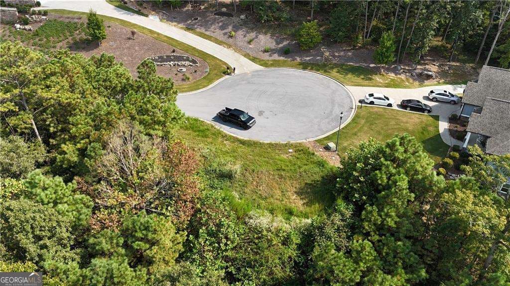 residential lot for sale at 764 Flower Farm Drive, Acworth, GA 30101 — photo 4