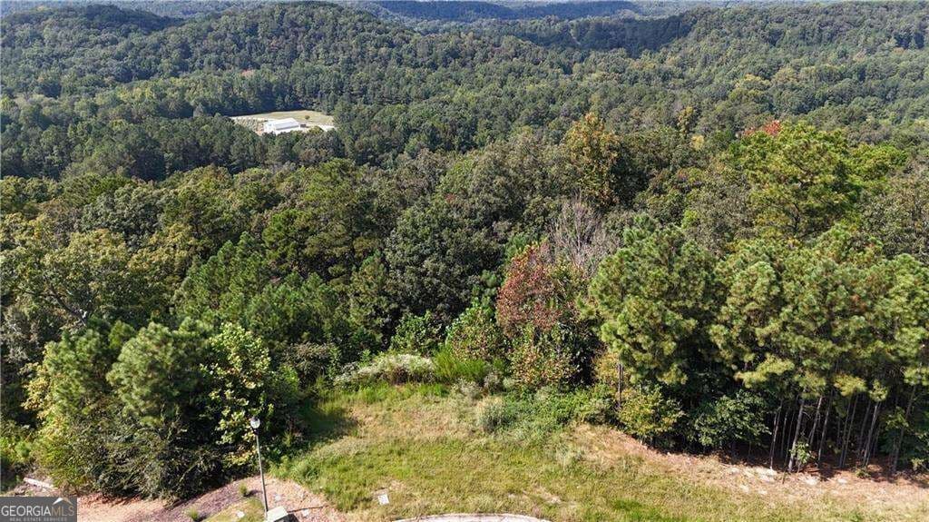 residential lot for sale at 764 Flower Farm Drive, Acworth, GA 30101 — photo 8